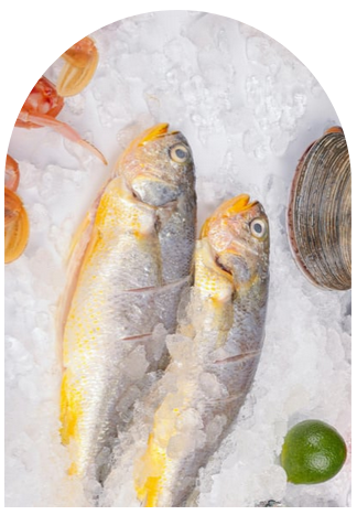 capture d’écran 2026 03 17 110108